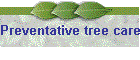 Preventative tree care