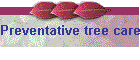 Preventative tree care