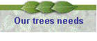 Our trees needs